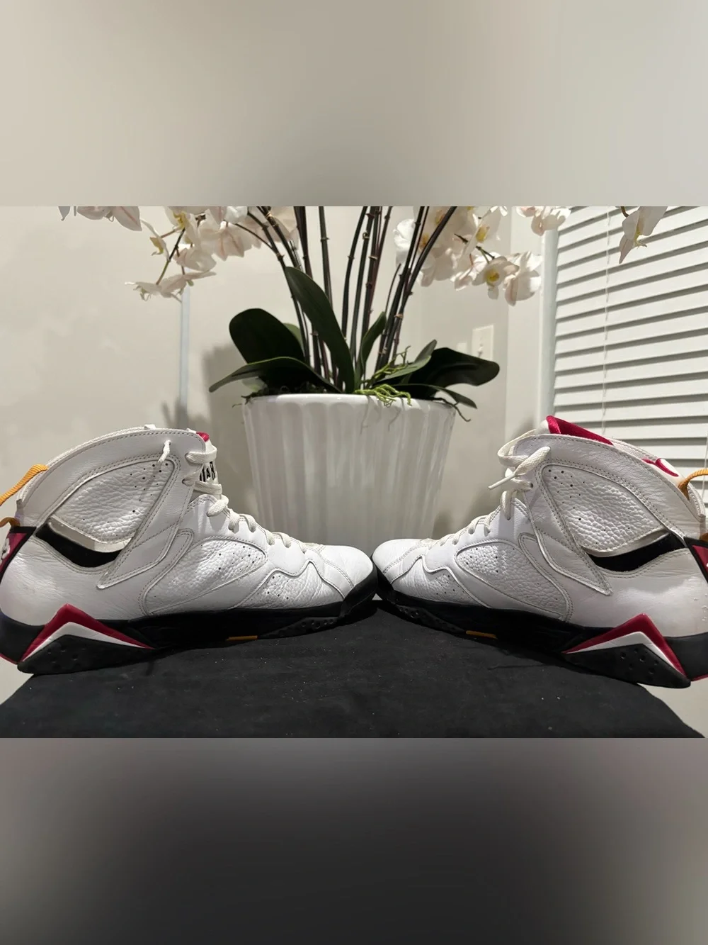 Air Jordan 7 Retro “Cardinal” (2022)